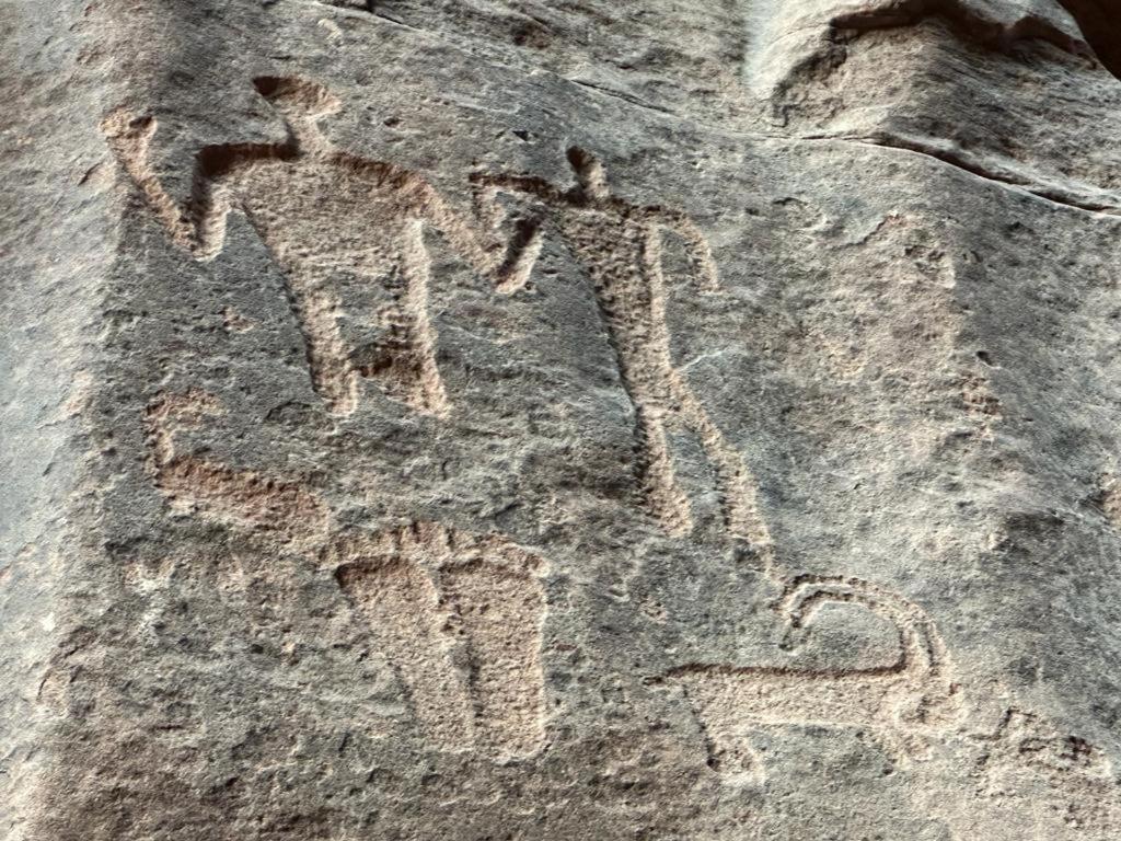 Bedouin Tours Camp Hotel Wadi Rum Bagian luar foto